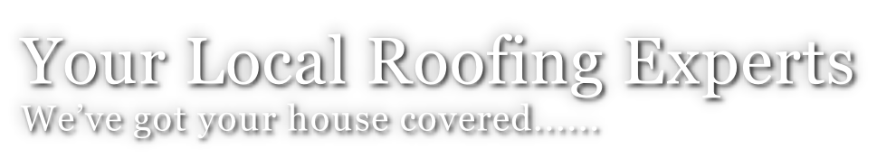 Your Local Roofing Experts We’ve got your house covered......